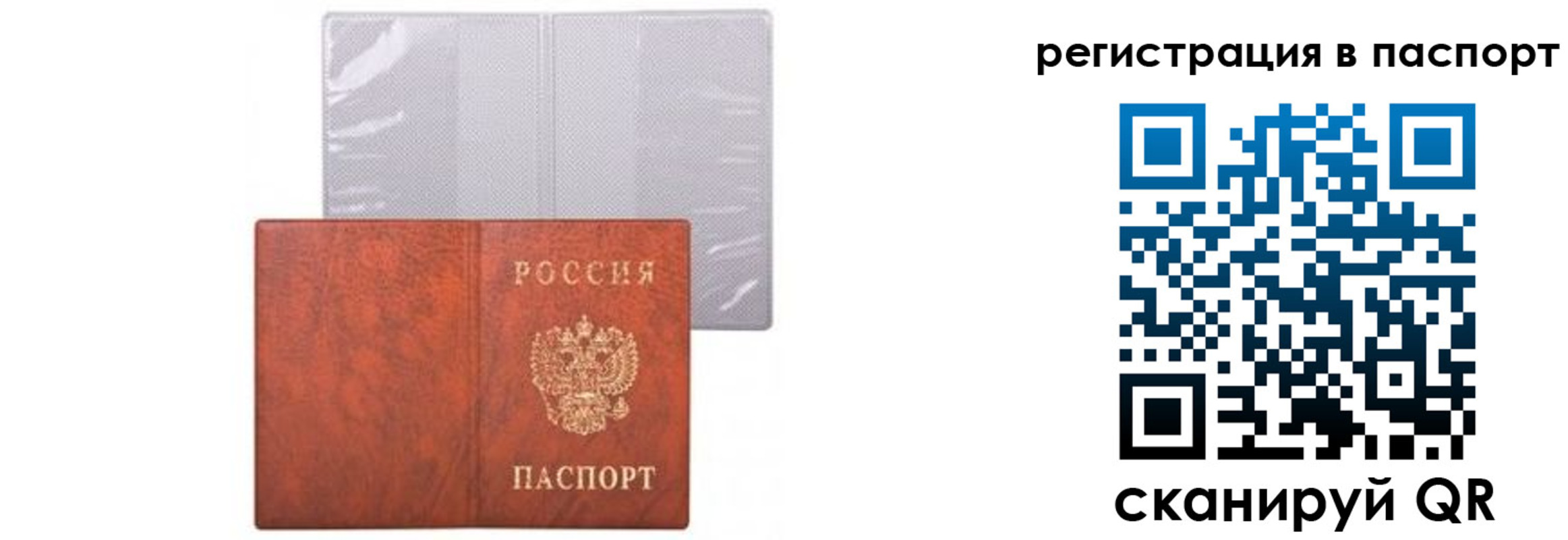 прописка ребенка в Бердске